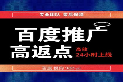 案例研究：SEM开户助力电商快速崛起