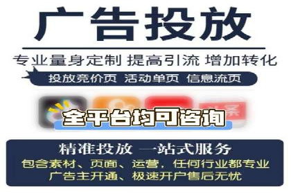 百度广告竞价效果评估：某知名品牌的投放效果分析